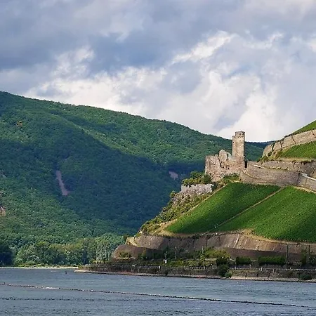 Rheinblick Rüdesheim nad Renem