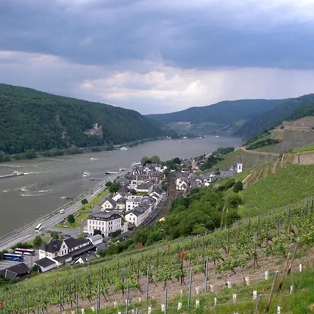 Rheinblick