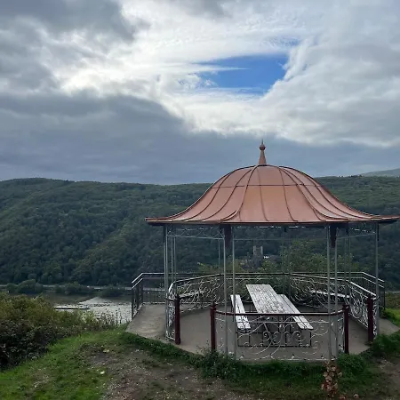 Rheinblick Rüdesheim am Rhein