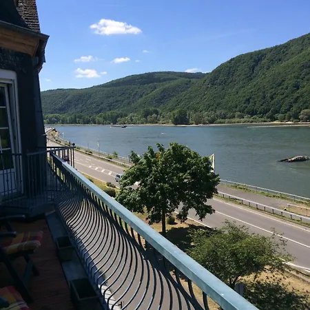 Rheinblick *
