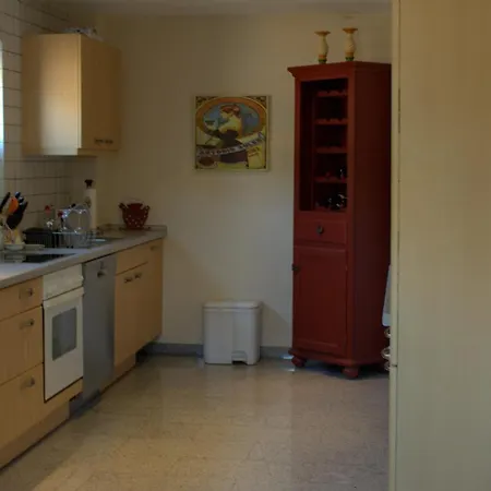 Rheinblick Rüdesheim am Rhein