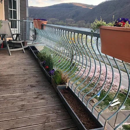 Rheinblick Apartament