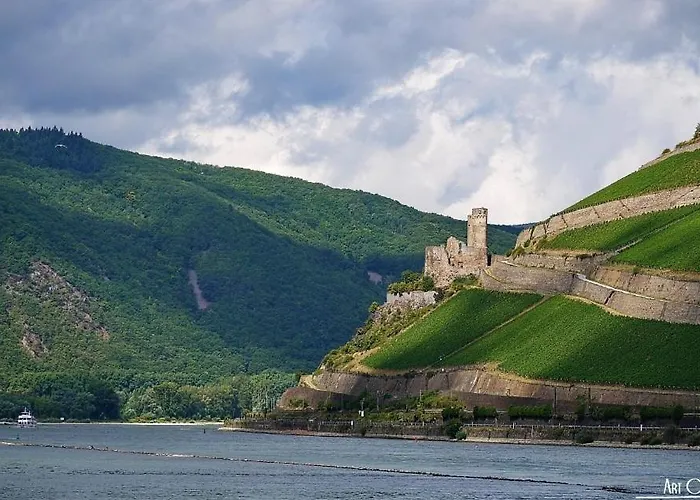 Rheinblick Rüdesheim am Rhein