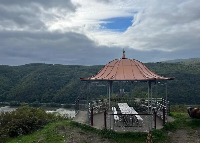 Rheinblick Rüdesheim am Rhein