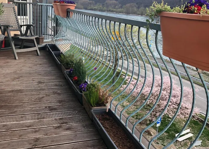 Rheinblick Apartment